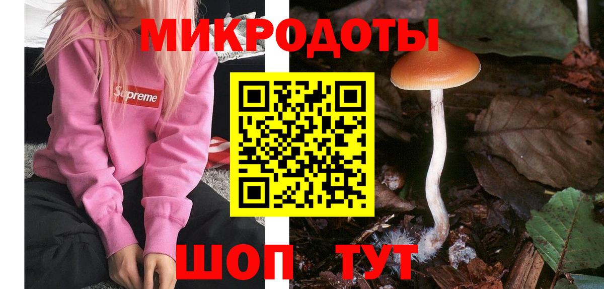 Галлюциногенные грибы мицелий  Галлюциногенные грибы ЛСД  Кингисепп  где можно купить   Вход с VPN 